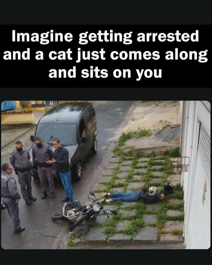 50 Funny Memes For Those Who Are In Need Of Their Daily Dose Of Laughter