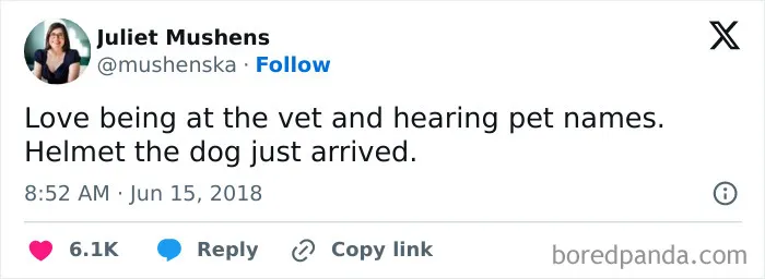 40 Pet Names So Unhinged Even Pharmacists Had To Laugh