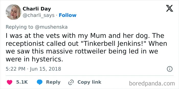 40 Pet Names So Unhinged Even Pharmacists Had To Laugh