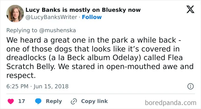 Tweet sharing a ridiculous pet name Flea Scratch Belly for a dog with dreadlocks, highlighting unusual pet names people share.