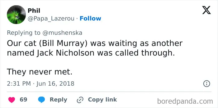 Tweet showing a funny example of ridiculous pet names where a cat is named Bill Murray and another called Jack Nicholson.