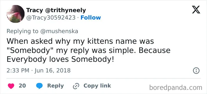 40 Pet Names So Unhinged Even Pharmacists Had To Laugh