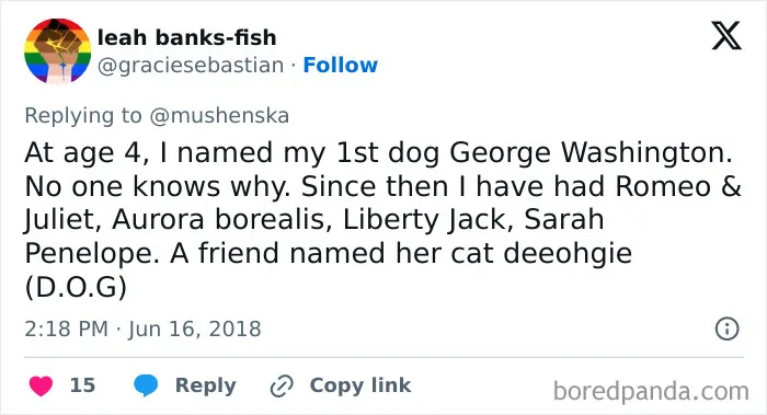 Tweet sharing ridiculous pet names including George Washington, Romeo & Juliet, Aurora borealis, and a cat named deehogie.