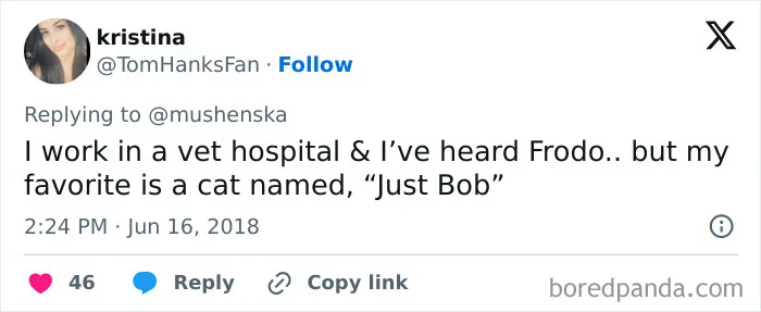 Tweet sharing a ridiculous pet name from a vet hospital worker mentioning a cat named Just Bob among funny pet names.