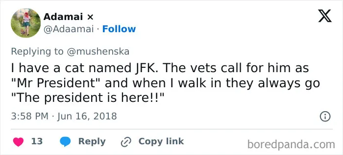 40 Pet Names So Unhinged Even Pharmacists Had To Laugh