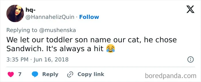 40 Pet Names So Unhinged Even Pharmacists Had To Laugh