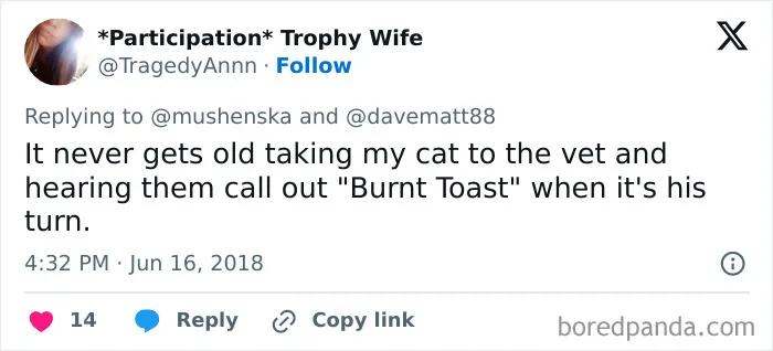40 Pet Names So Unhinged Even Pharmacists Had To Laugh