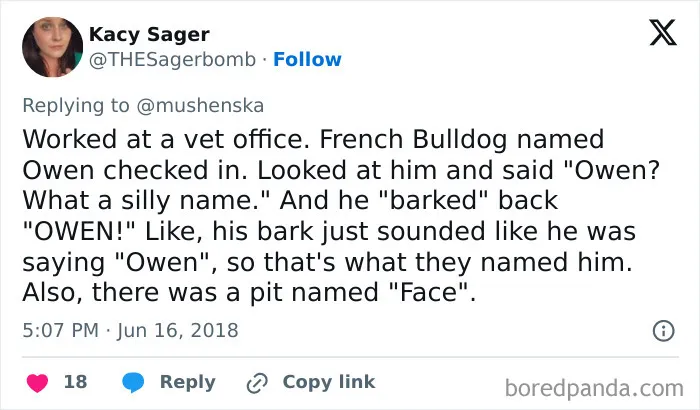40 Pet Names So Unhinged Even Pharmacists Had To Laugh