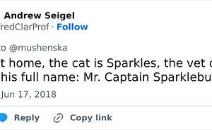 40 Pet Names So Unhinged Even Pharmacists Had To Laugh