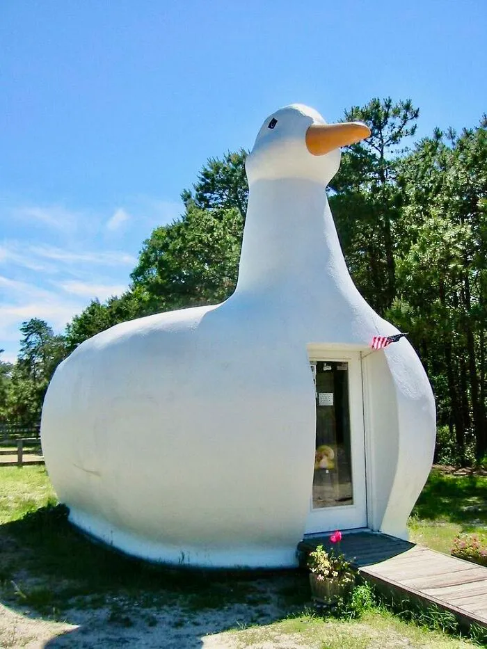 The Big Duck Is A Historic Roadside Attraction And Architectural Landmark Located In Flanders