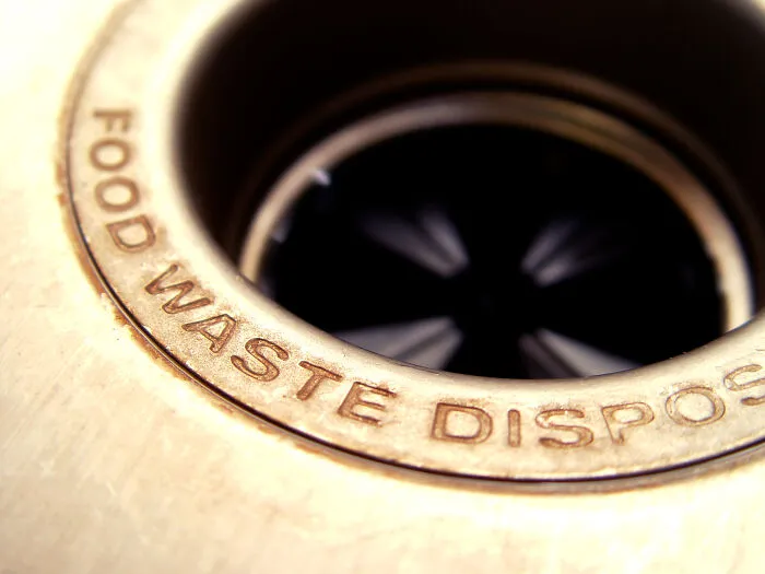 Ice Cubes and Coarse Salt for Cleaning Garbage Disposals