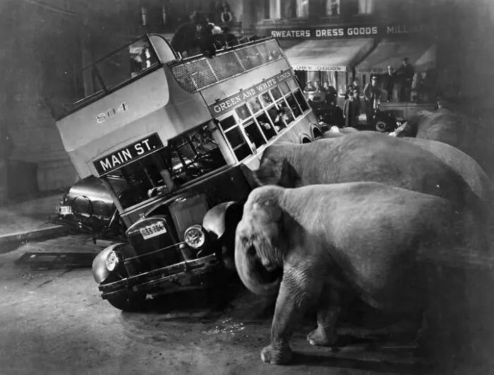 37 Fascinating Photos That Prove Timing Is Everything (New Pics)