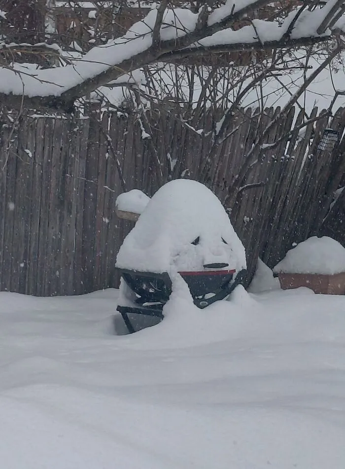 Our Grill Is Sad That We Left Him Out In The Snow