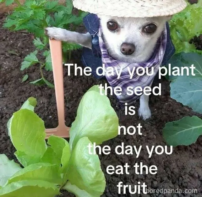 50 Memes That Range From Wild To "What Did I Just Read?"