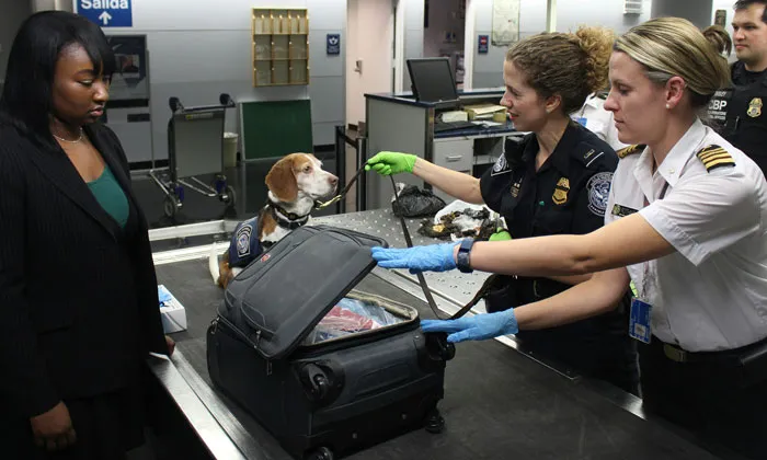 20 Secretos de aeropuertos contados por trabajadores y viajeros habituales