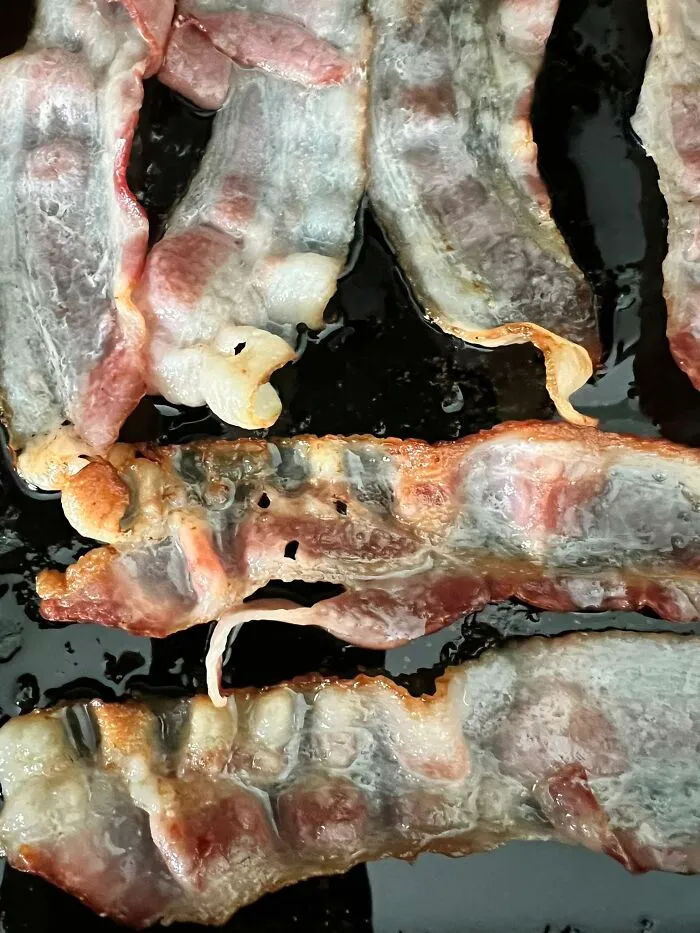 My Bacon Was Surprised To Learn My Plans For Him