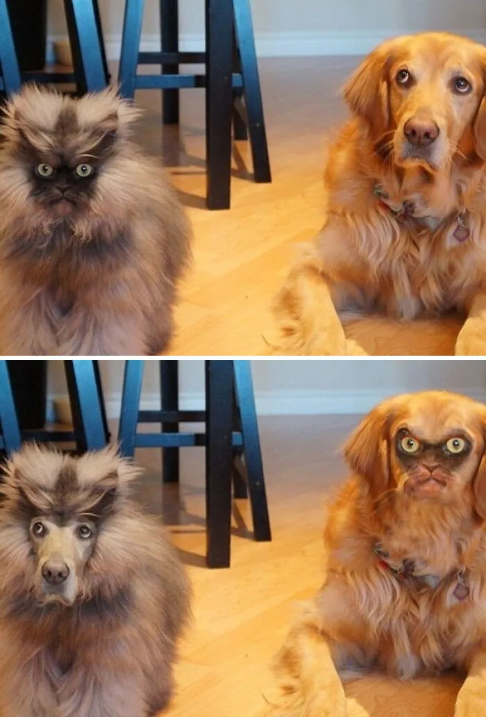 30 Of The Most Wild And Unhinged Photoshop Pics