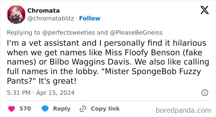Tweet from a vet assistant sharing hilarious and ridiculous pet names like Miss Floofy Benson and Bilbo Waggins Davis.