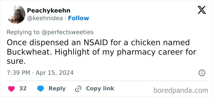 Screenshot of a tweet sharing a ridiculous pet name Buckwheat for a chicken from a pharmacy career highlight.