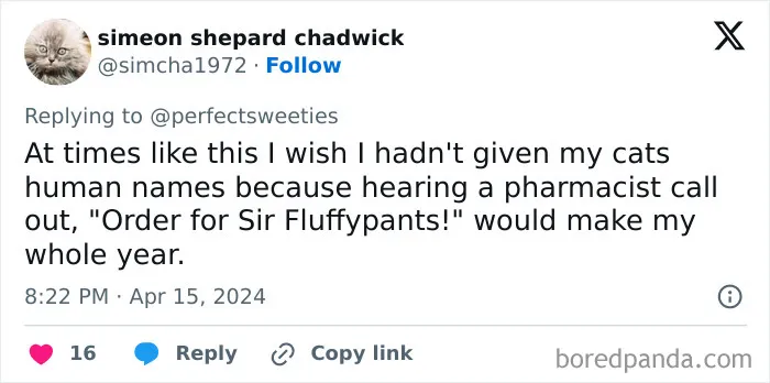 40 Pet Names So Unhinged Even Pharmacists Had To Laugh