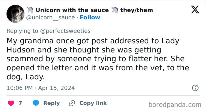 Tweet showing a funny story about a dog named Lady, highlighting ridiculous pet names people just had to share.