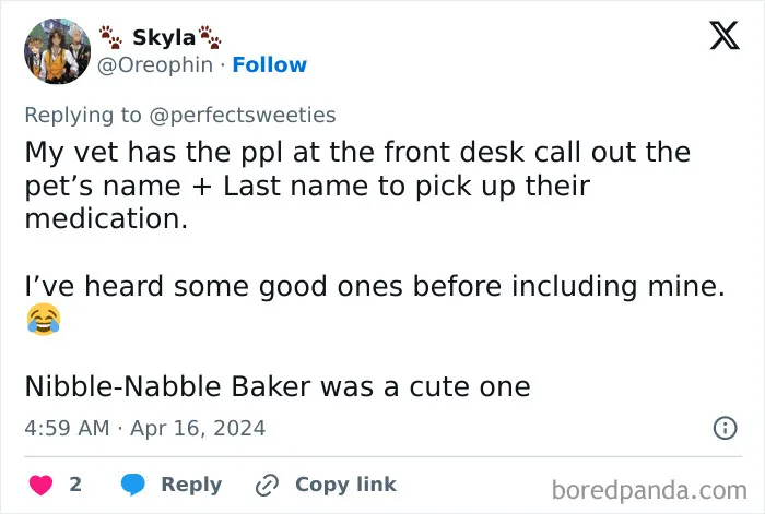 Tweet about ridiculous pet names shared by people, mentioning a vet calling pets' names plus last names for medication pickup.