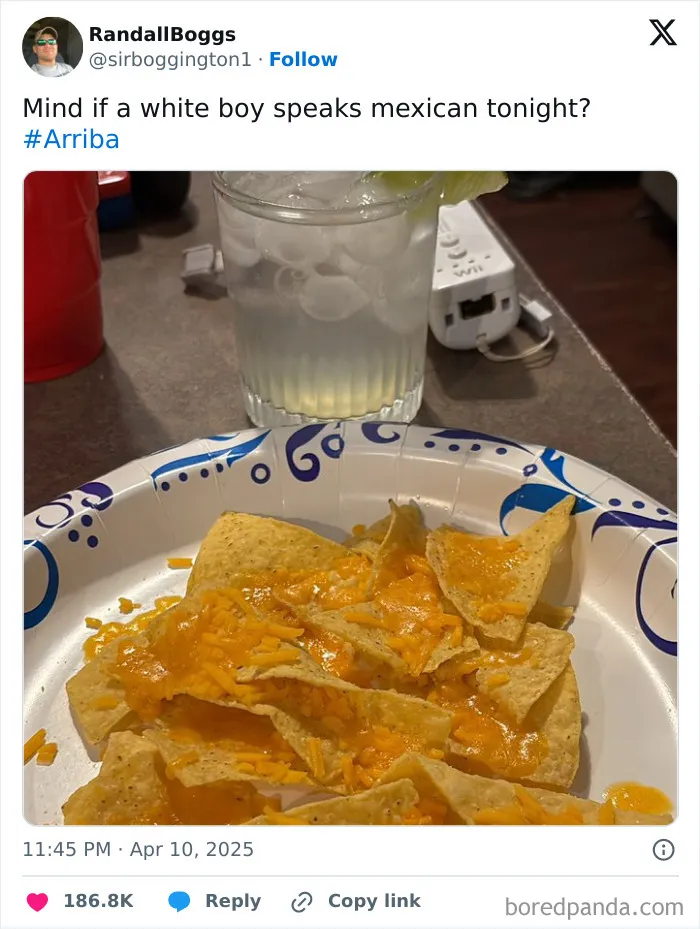 A tweet showing cheesy nachos on a plate with a glass of a cold drink, illustrating random tweets humor.