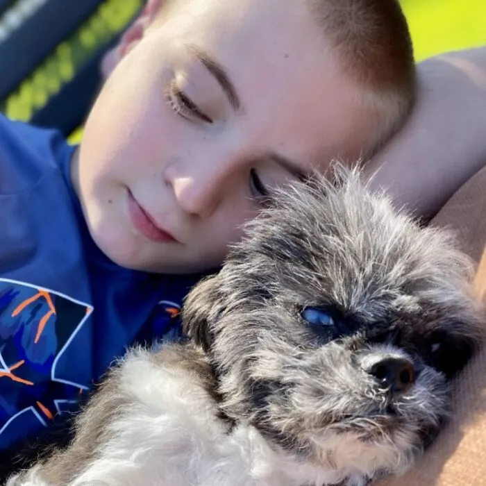 Teen With A Mission: 30 Dogs Whose Lives Were Changed By One Boy