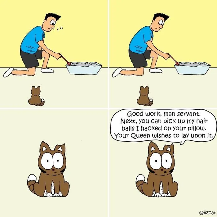 This Cartoonist Turns Everyday Cat Nonsense Into Hilarious Comics (29 New Comics)