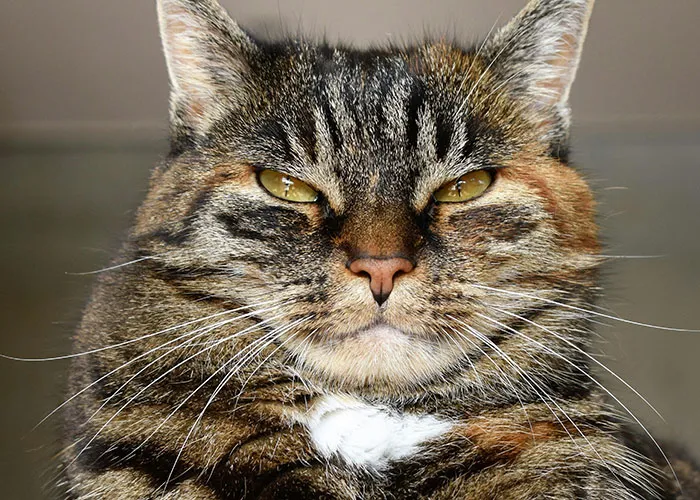 “I Feel Extremely Dumb”: 20 Hilarious Stories Of Moments When People Seriously Messed Up