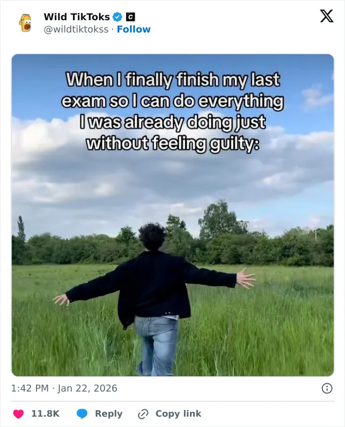 Hilarious TikTok Screenshots People Keep Sharing Because They Are Shockingly Real