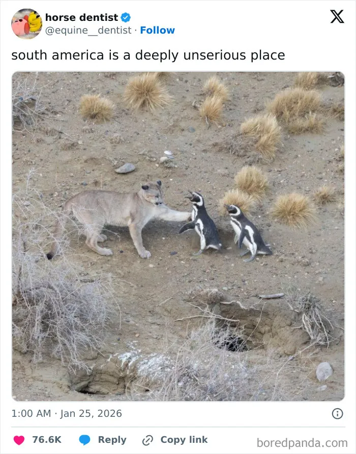 30 Funny Tweets For Anyone Who’s Tired Of The Depressing News