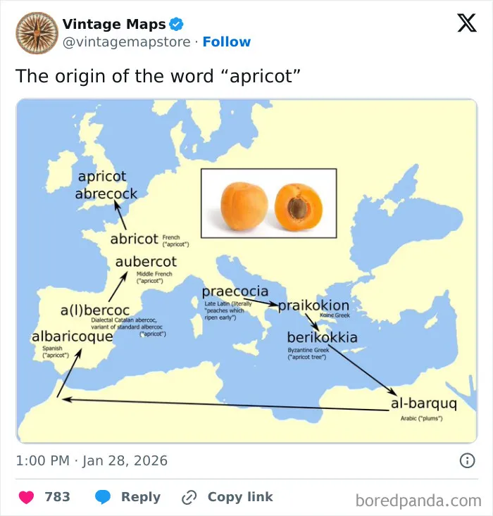 64 Cool Maps That Range From Ridiculously Funny To Actually Educational