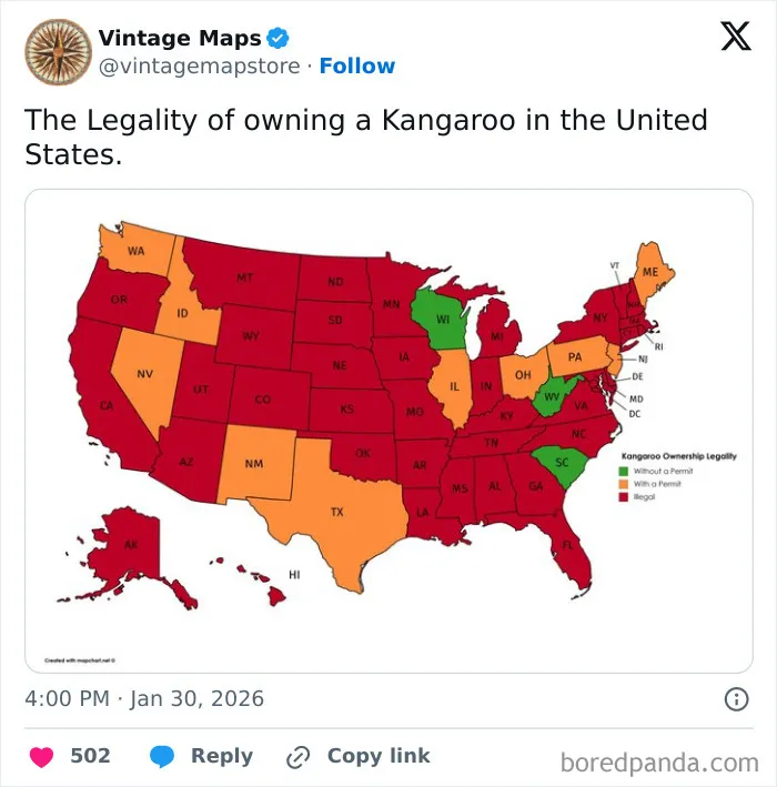 Map showing the legality of owning a kangaroo in the United States with color-coded states and key for permits.