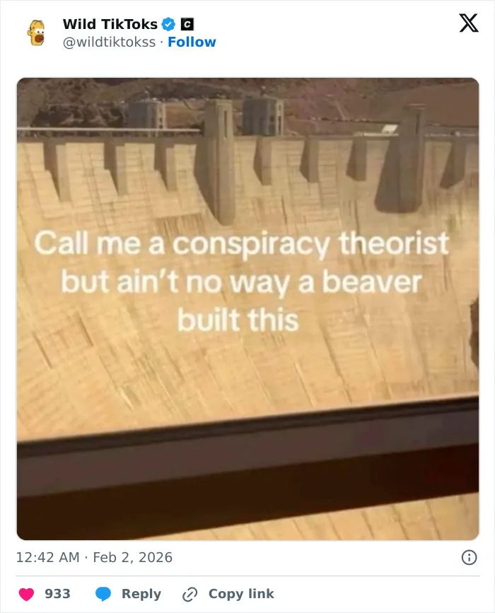 Hilarious TikTok Screenshots People Keep Sharing Because They Are Shockingly Real