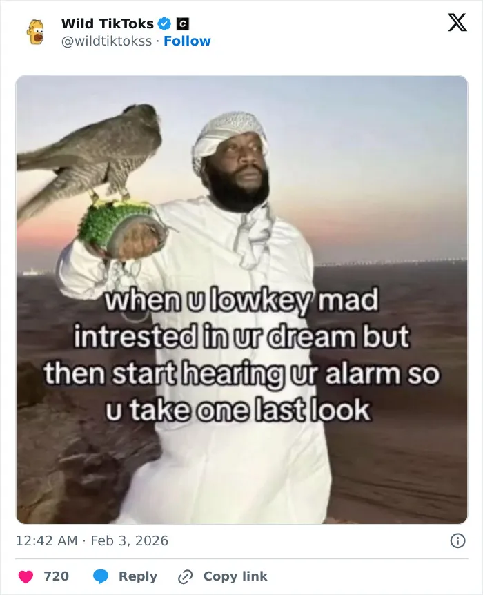 Hilarious TikTok Screenshots People Keep Sharing Because They Are Shockingly Real