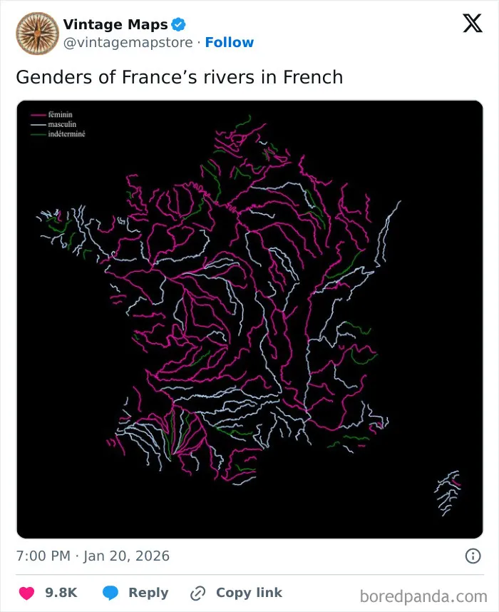 Map displaying the genders of France’s rivers using colorful lines on a dark background, highlighting cool maps for cartography fans.