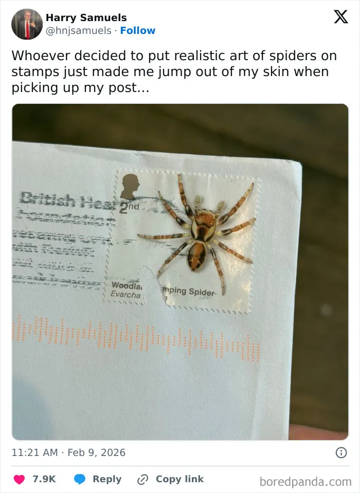 Tweet showing a realistic spider art stamp on a letter, illustrating chaotic and hilarious posts coping with humor.