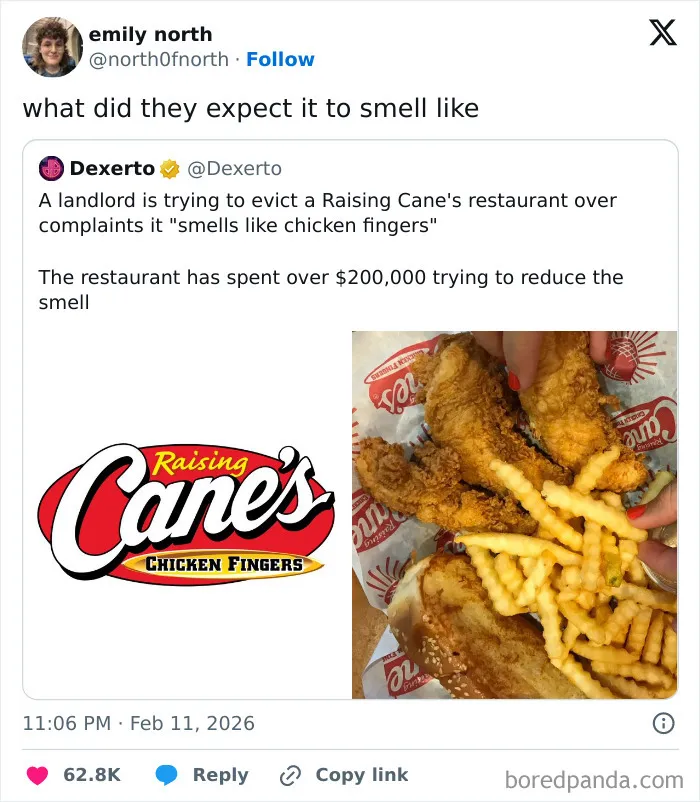 Screenshot of chaotic and hilarious X posts featuring Raising Cane's chicken fingers and funny restaurant eviction dispute.