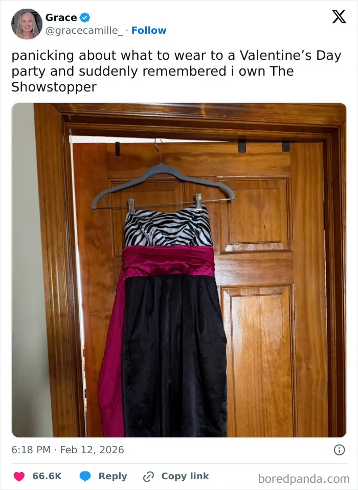 Hilarious X post showing a zebra print and pink dress hanging on a wooden door as a funny coping humor moment.