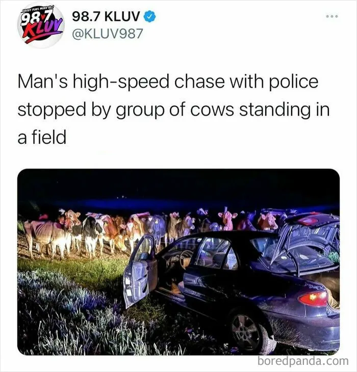87 Wild, Bizarre And Unhinged News Stories That Might Have You Thinking, “Only In America”