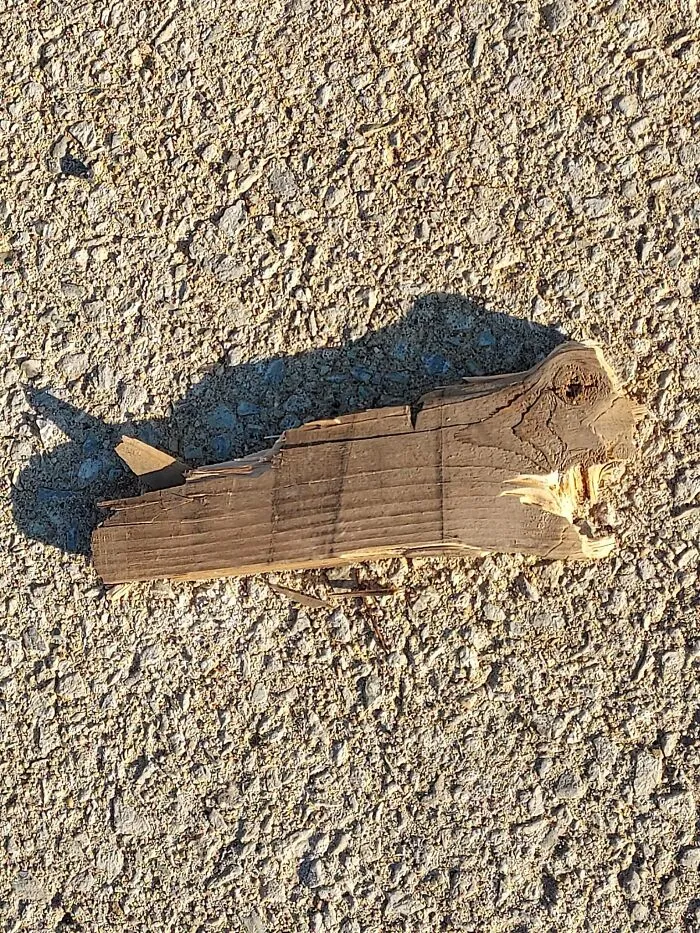 90 Hilarious Cases Of Pareidolia That People Couldn’t Pass Up (New Pics)