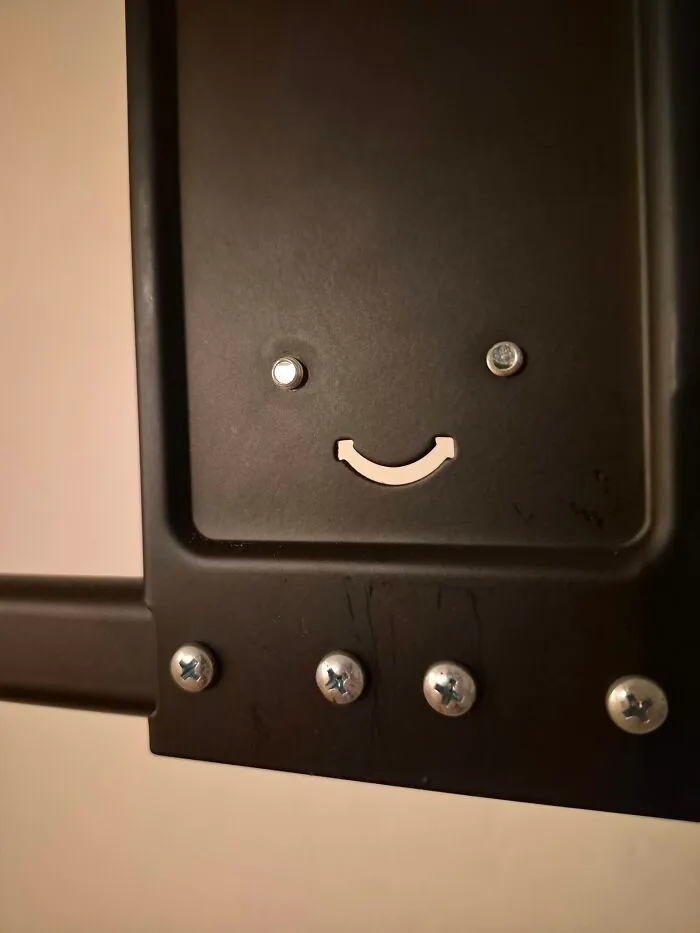 This Happy Little Guy Is On A TV Mount, Normally Hidden Behind The TV