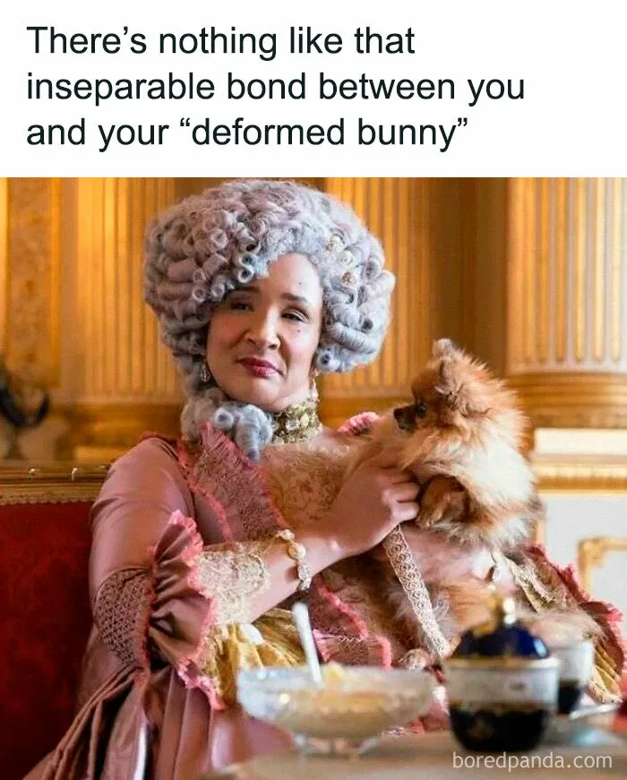 71 Bridgerton Memes That Might Start A Scandal