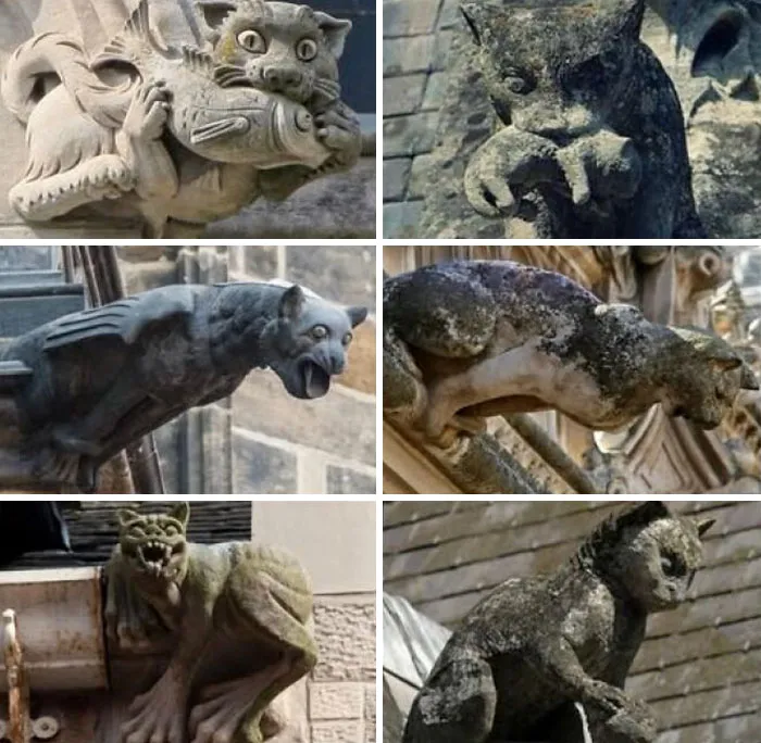 Cat Gargoyles And Grotesques, European