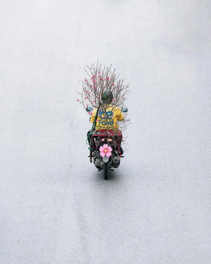 37 Fascinating Photos That Prove Timing Is Everything (New Pics)
