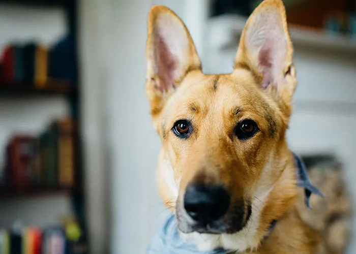 50 Times A Single “Ick” Instantly Ended Someone’s Attraction