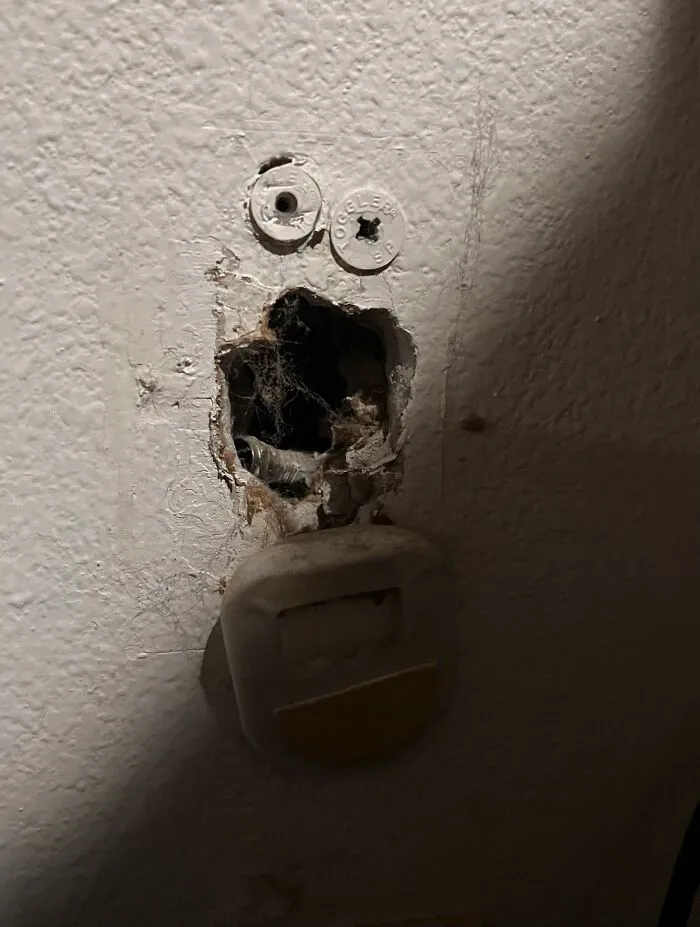 90 Hilarious Cases Of Pareidolia That People Couldn’t Pass Up (New Pics)