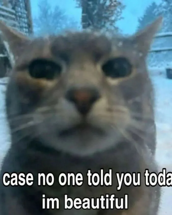93 Edgy And Hilarious Memes That Might Make Your Day Way Better