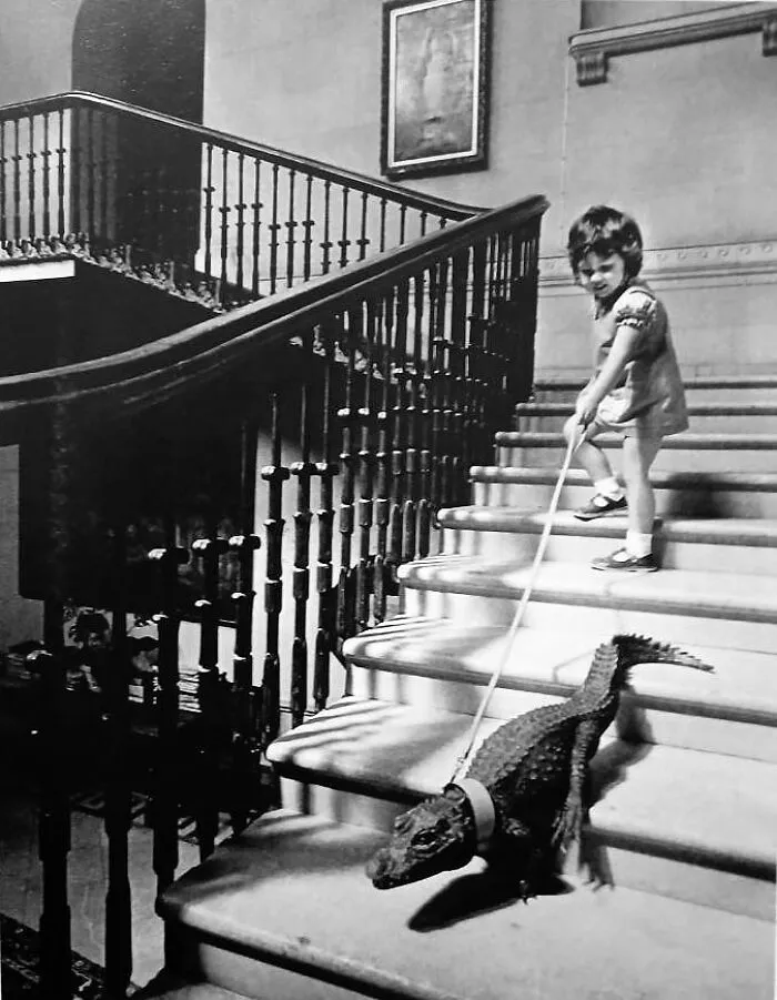 37 Fascinating Photos That Prove Timing Is Everything (New Pics)